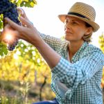 DIY: Winemaking Pt.1