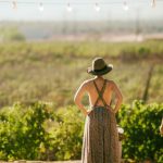 The New Vineyard